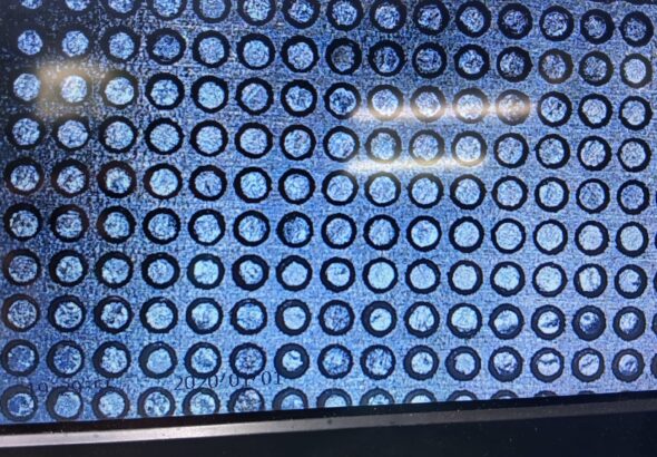 WhatsApp Image 2026-03-30 at 13.53.26