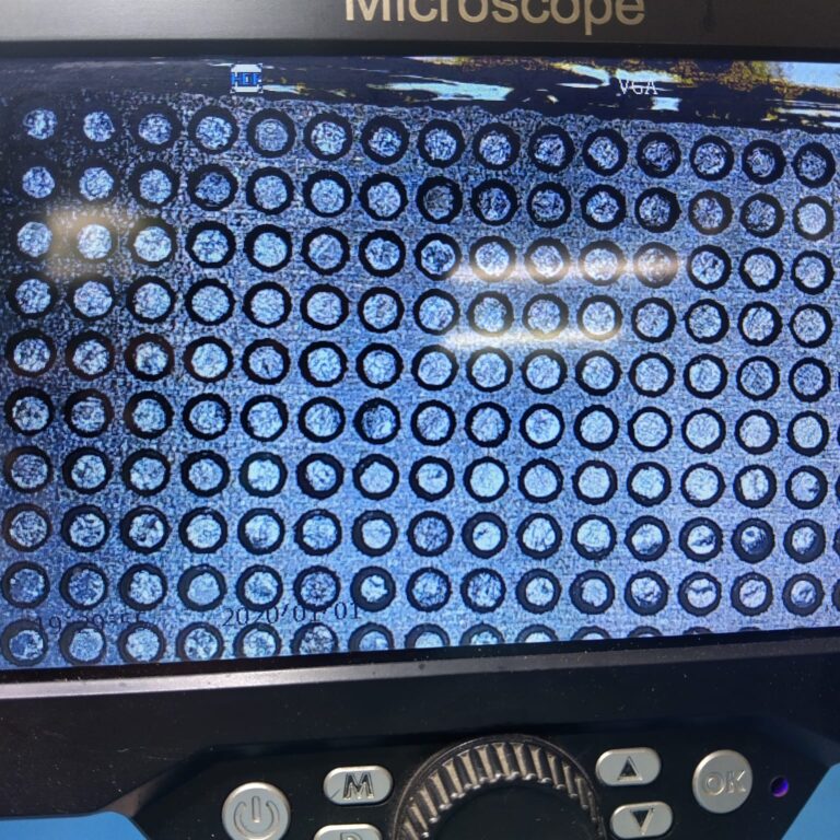 WhatsApp Image 2026-03-30 at 13.53.26